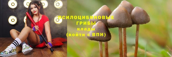кристаллы Дмитровск