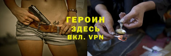 мдпв Дмитриев
