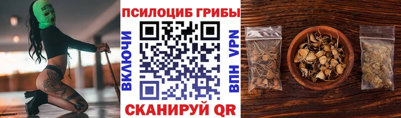 купить закладку  Берёзовка  гидра как войти  Галлюциногенные грибы Psilocybe 